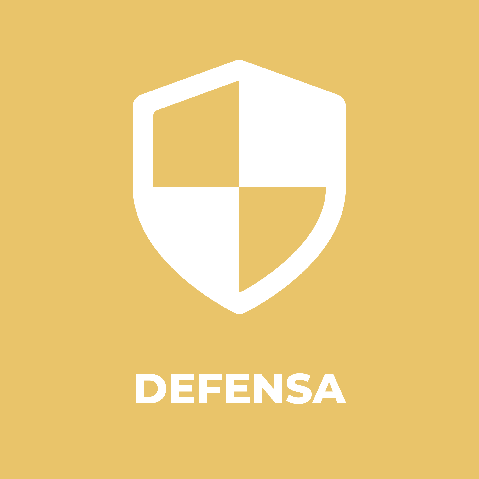 Defensa