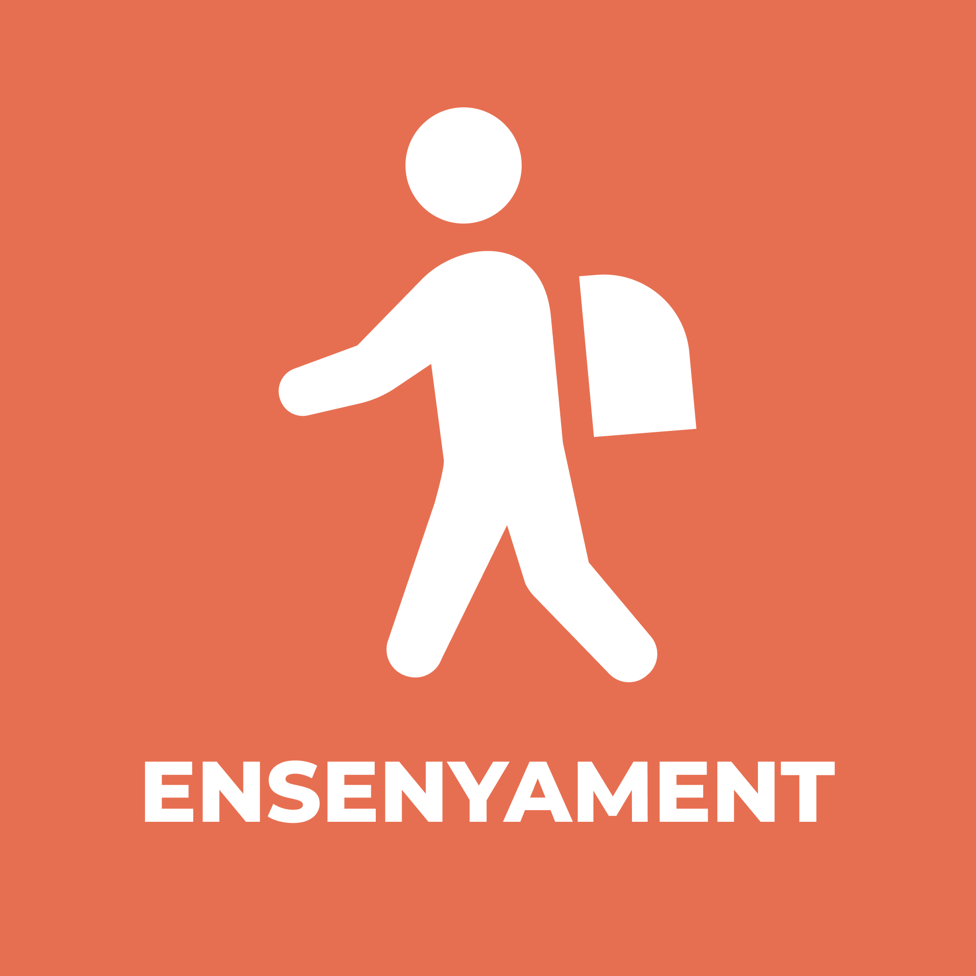Ensenyament