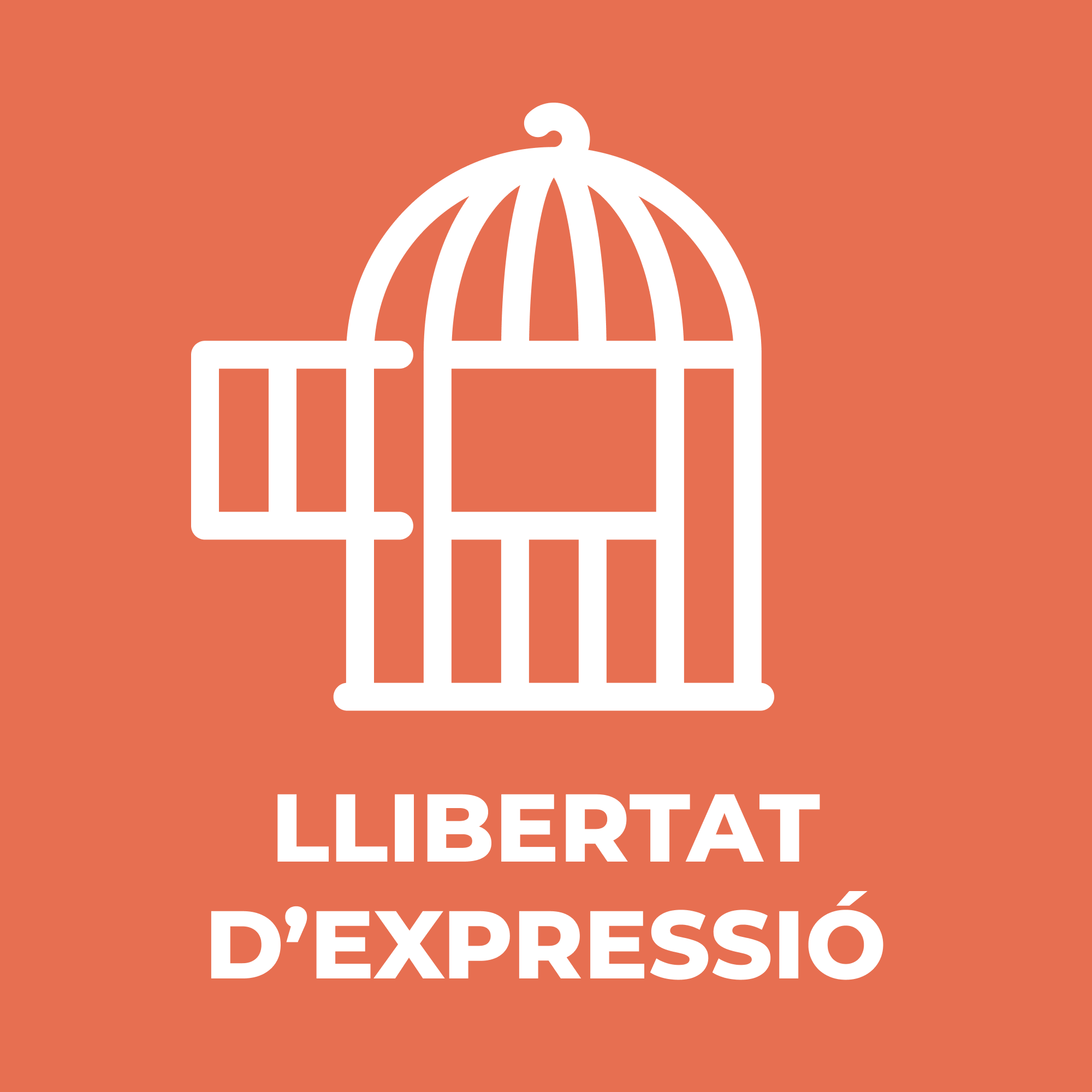 Llibertat d’Expressió