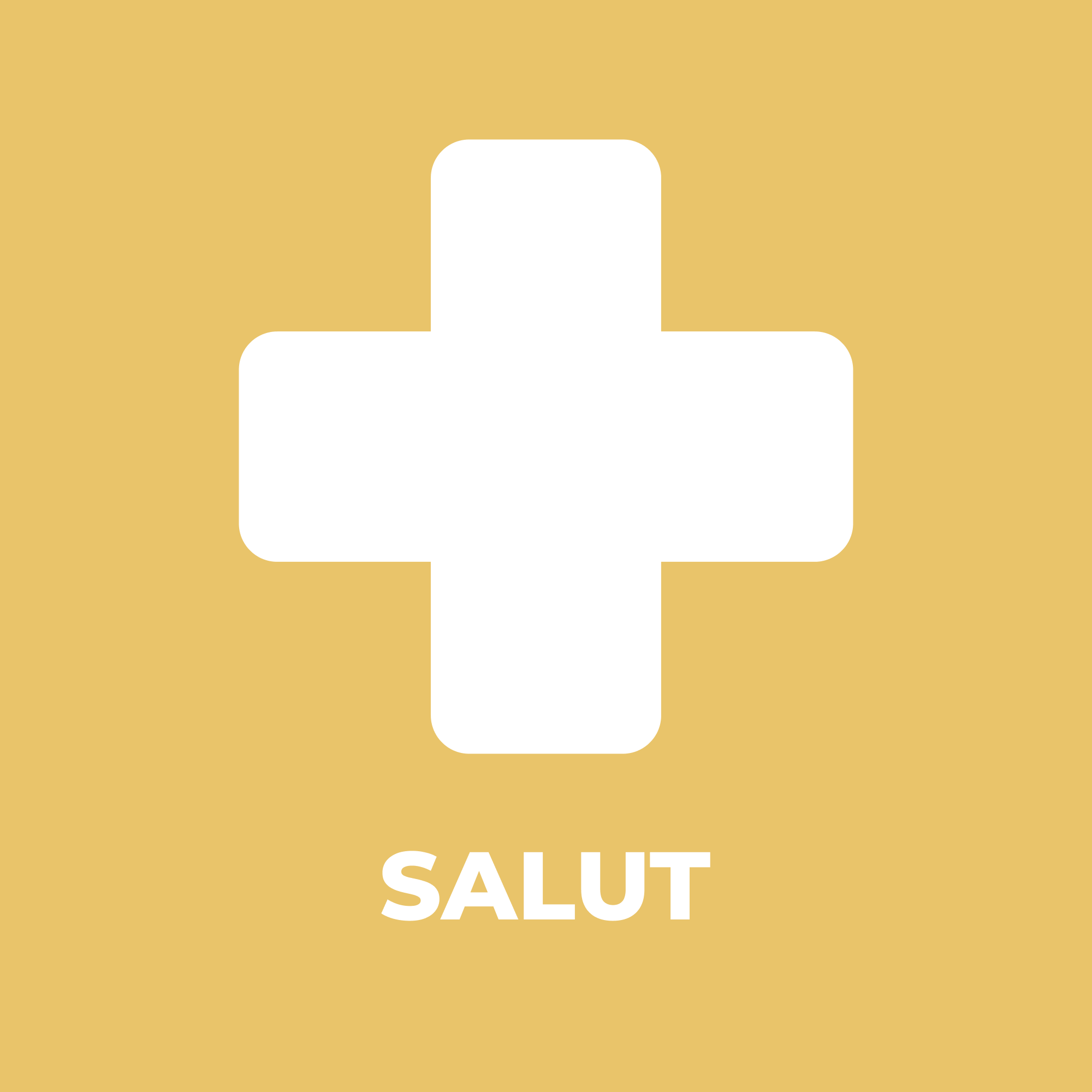 Salut