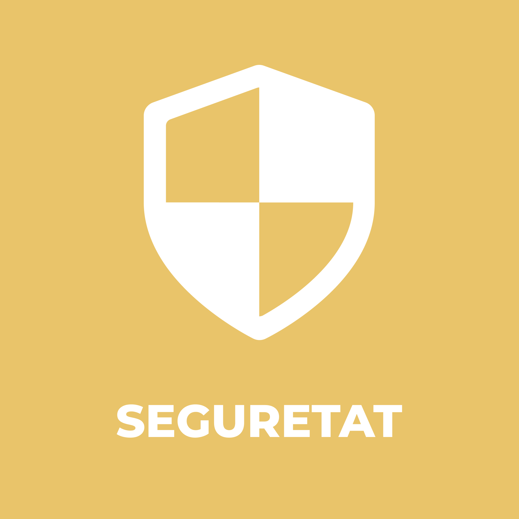 Seguretat