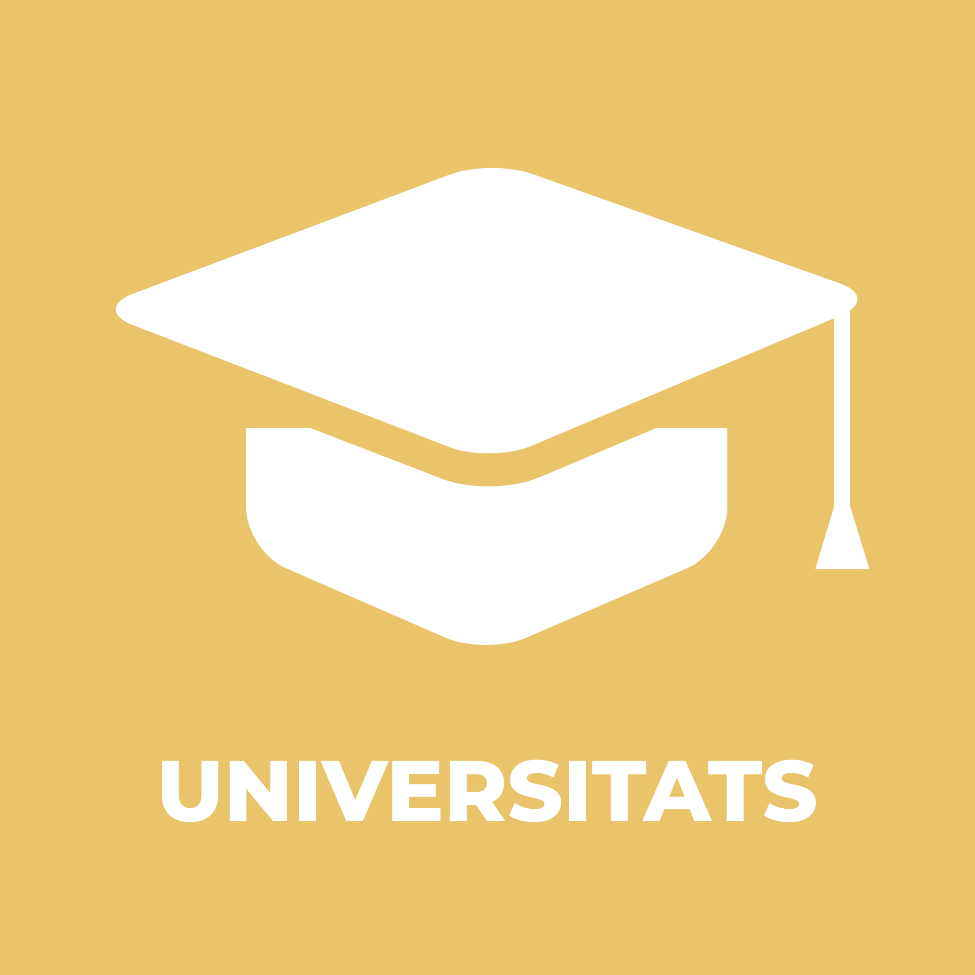 Universitats